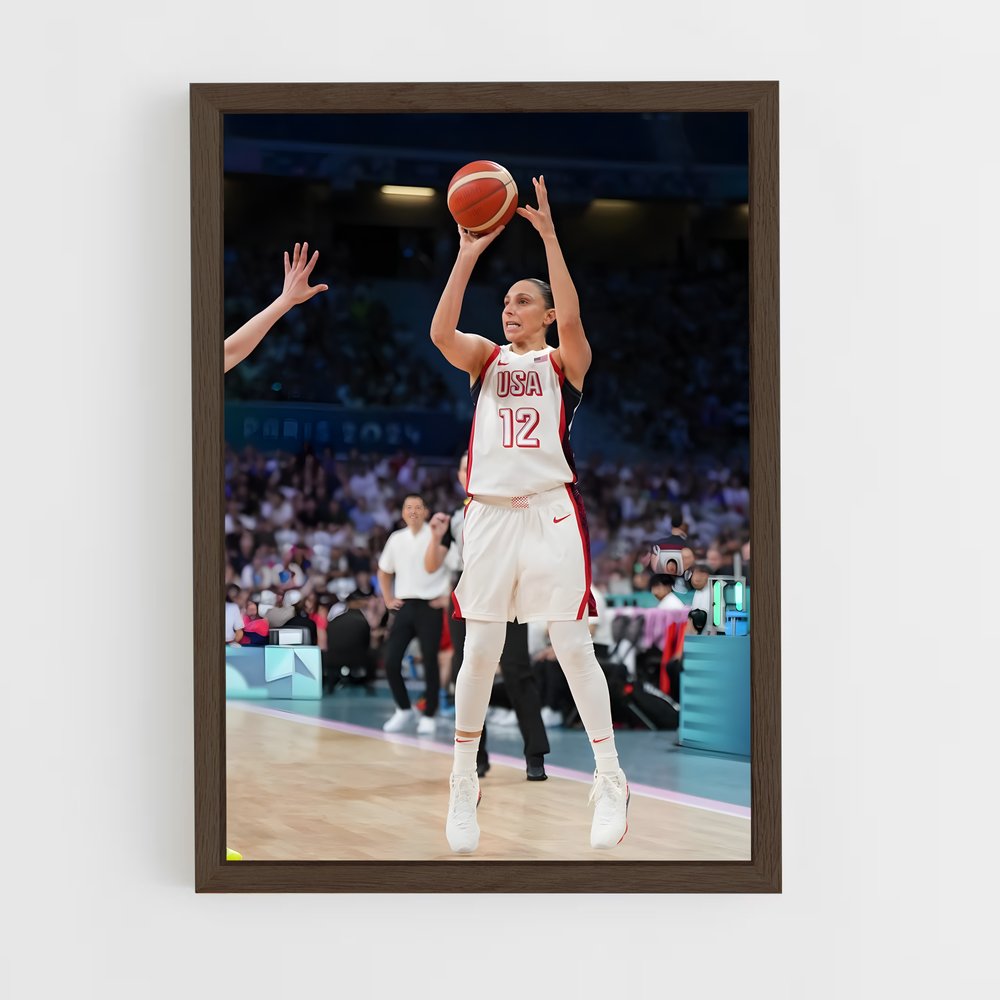 Poster Diana de taurasi – affiche Basketball (vue 5)